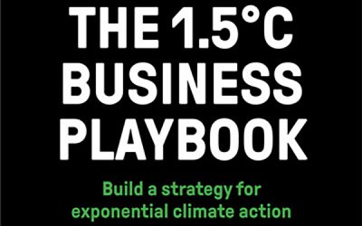 Formica Capital joins 1.5°C Business Playbook as first investment company