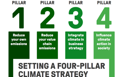 4 ways for companies to take effective climate action