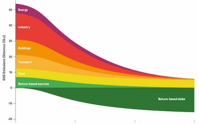 The 1.5°C Business Playbook: your company’s roadmap for exponential climate action