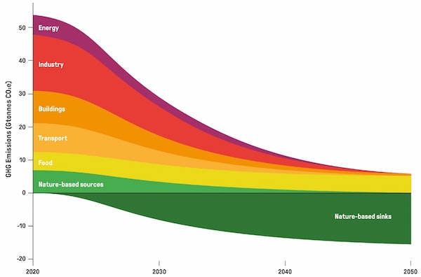 The 1.5°C Business Playbook: your company’s roadmap for exponential climate action