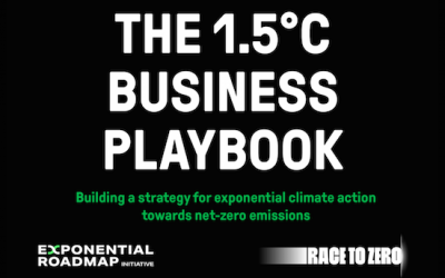 Partnership with Race To Zero & second version of  1.5°C Business Playbook announced