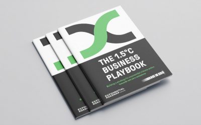 Update to the 1.5°C Business Playbook on exponential climate action