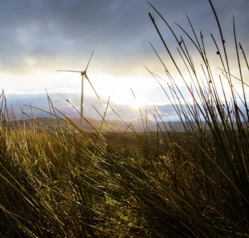 IKEA launches a new program to accelerate suppliers’ transition to 100% renewable electricity