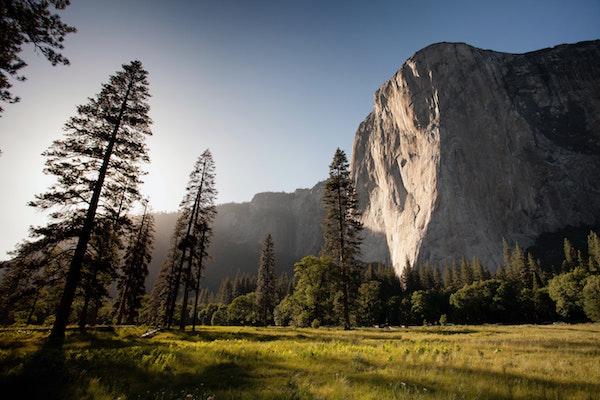 Google and Polestar step up exponential climate action – joins Exponential Roadmap Initiative and UN Race to Zero