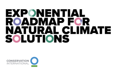 The Exponential Roadmap for Natural Climate Solutions