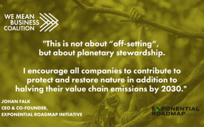 Guiding principles for corporate climate leadership on the role of natural climate solutions
