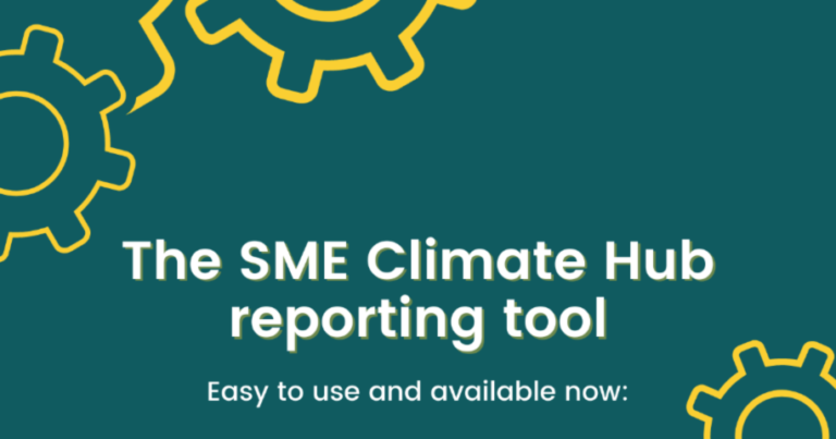 visual for the SME Climate Hub reporting tool