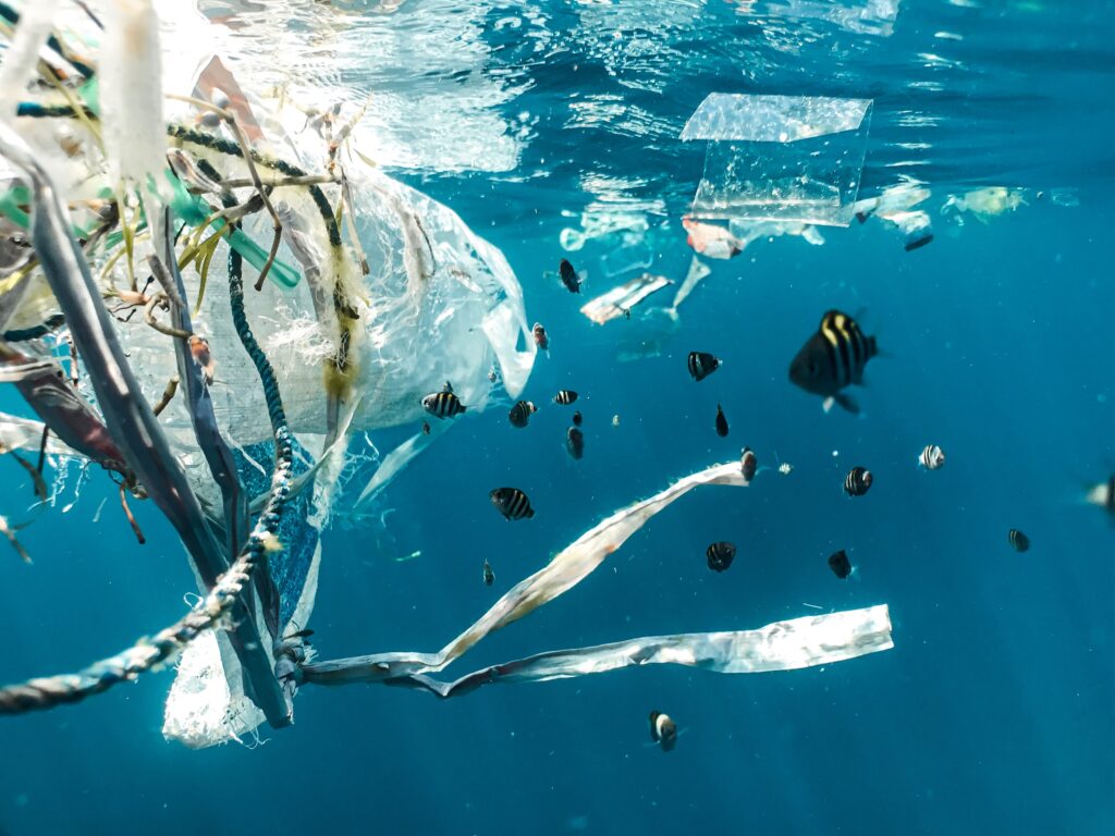 plastic floating in the sea with fish around it