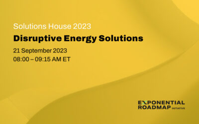 Disruptive Energy Solutions