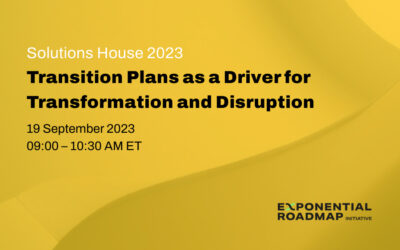 Transition Plans as a Driver for Transformation and Disruption