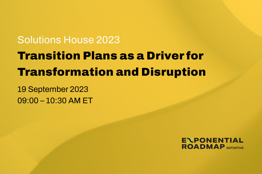 Transition Plans as a Driver for Transformation and Disruption