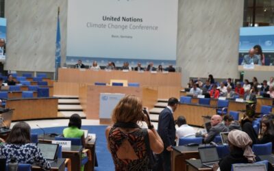 Informing the development of the UNFCCC’s Net Zero Recognition and Accountability Framework 
