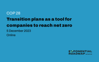 COP28: Transition Plans as a Tool for Companies to Reach Net Zero