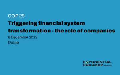 COP28: Triggering Financial System Transformation – The Role of Companies