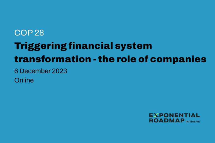 COP28: Triggering Financial System Transformation – The Role of Companies