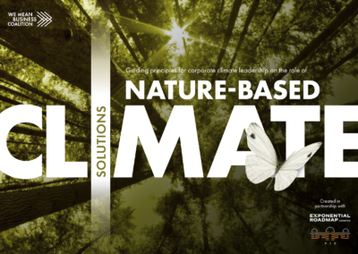 Guiding Principles For Nature-based Climate Solutions