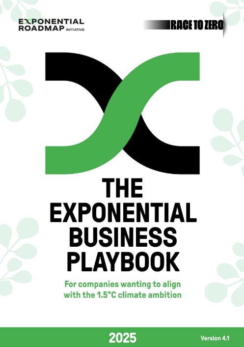 The Exponential Business Playbook frontcover