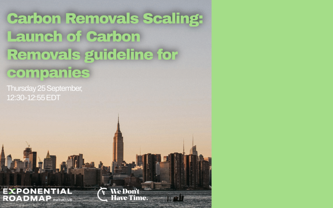 NYCCW 2025: Carbon Removals Scaling:  Launch of  Carbon Removals guideline for companies