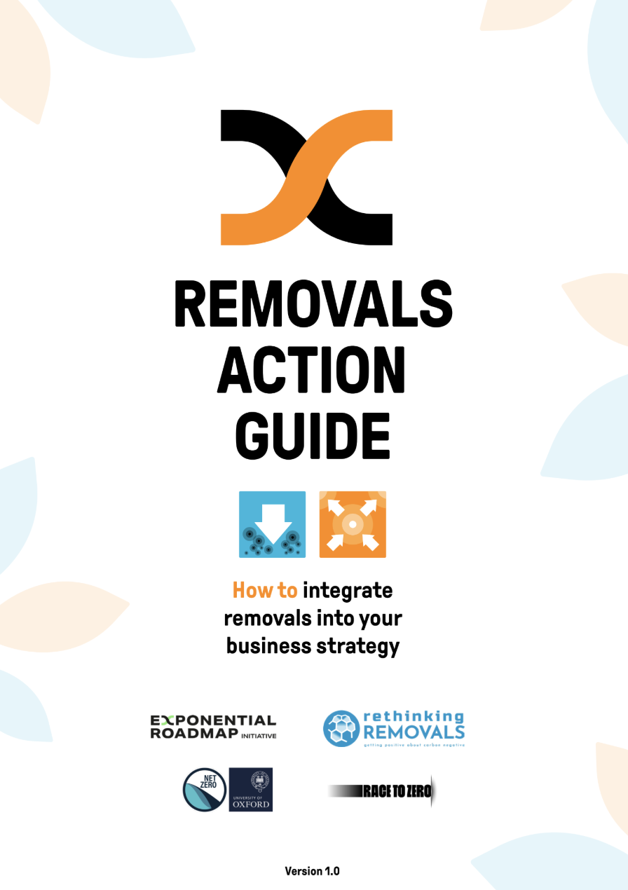 Carbon removals action guide