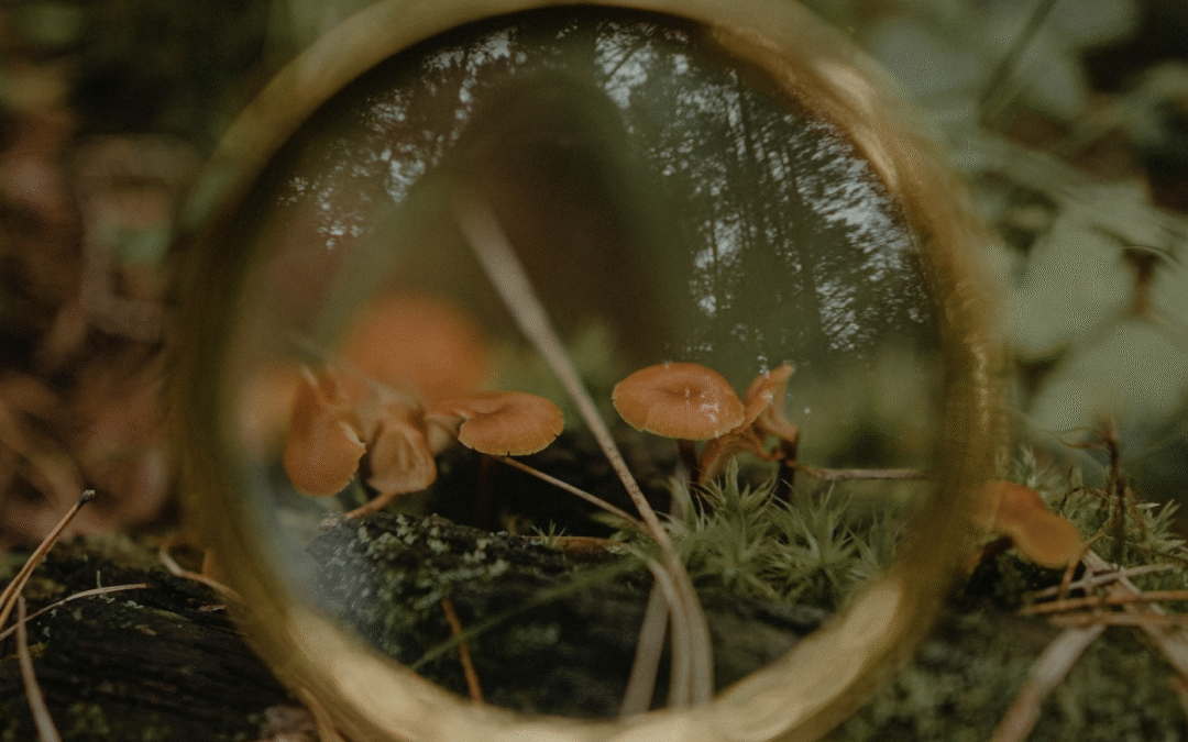 Identifying climate solutions can unlock finance for low-carbon growth