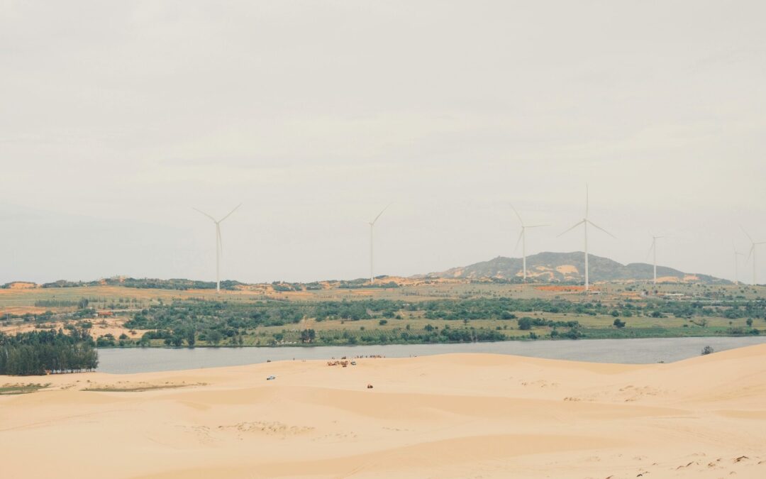 COP30: Corporate Case Studies Supporting NDC Implementation with ERI, Inter IKEA Group & Unilever