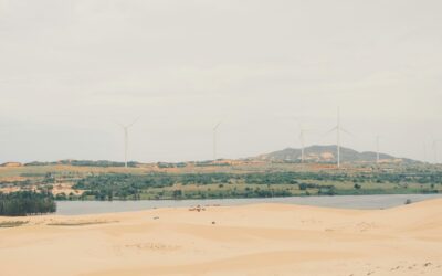 From Plans to Progress: A Call for Aligned Climate Action as the World Gathers for COP30