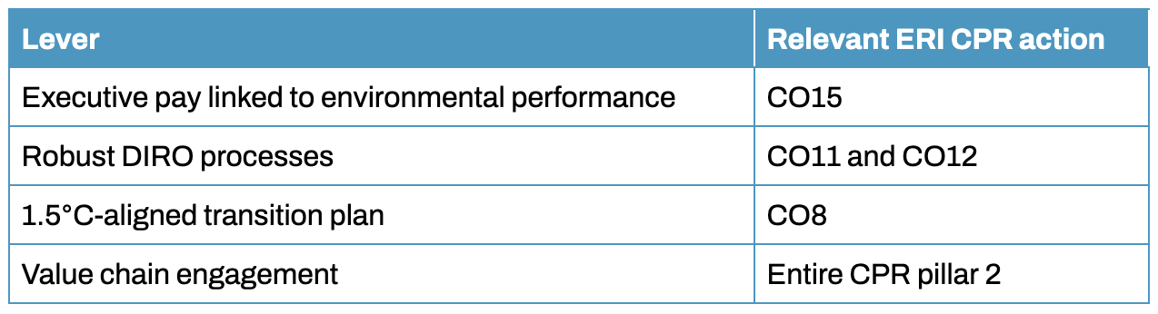 The 5 pillar framework