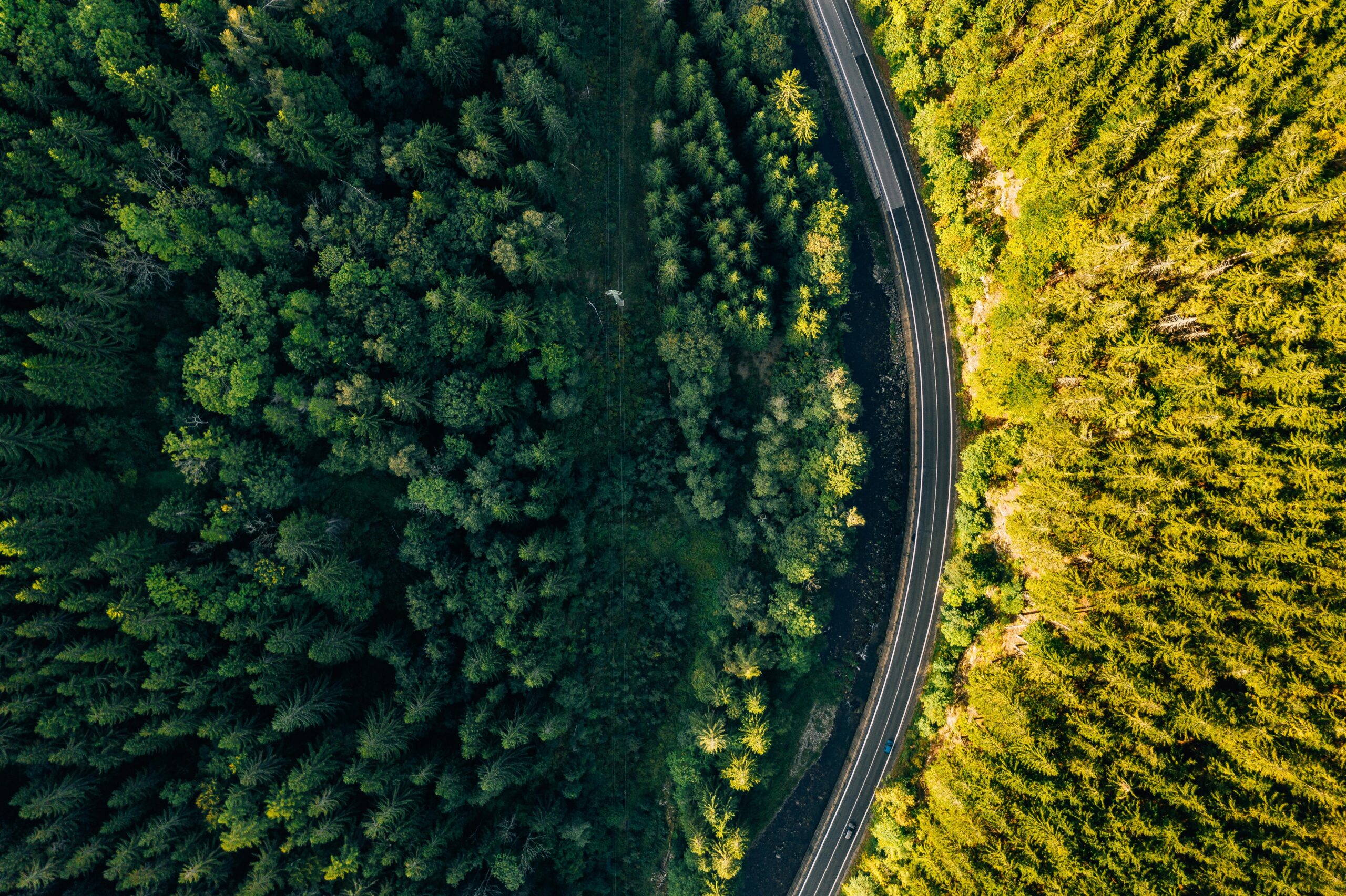 Serviced Emissions Hub: Consulting Working Group launch (online)