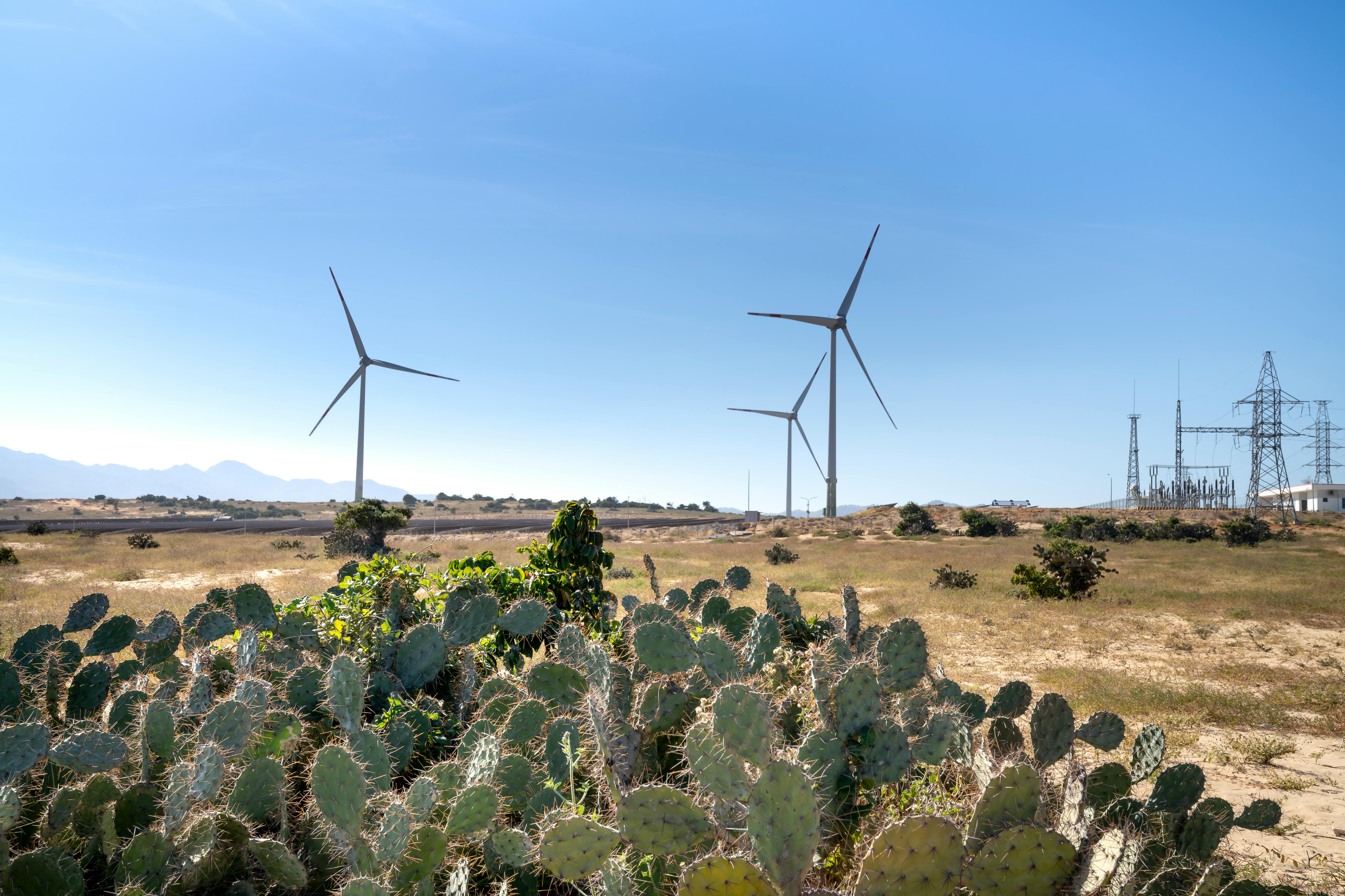 The race has already started: how the world can reach 50% clean electricity by 2030