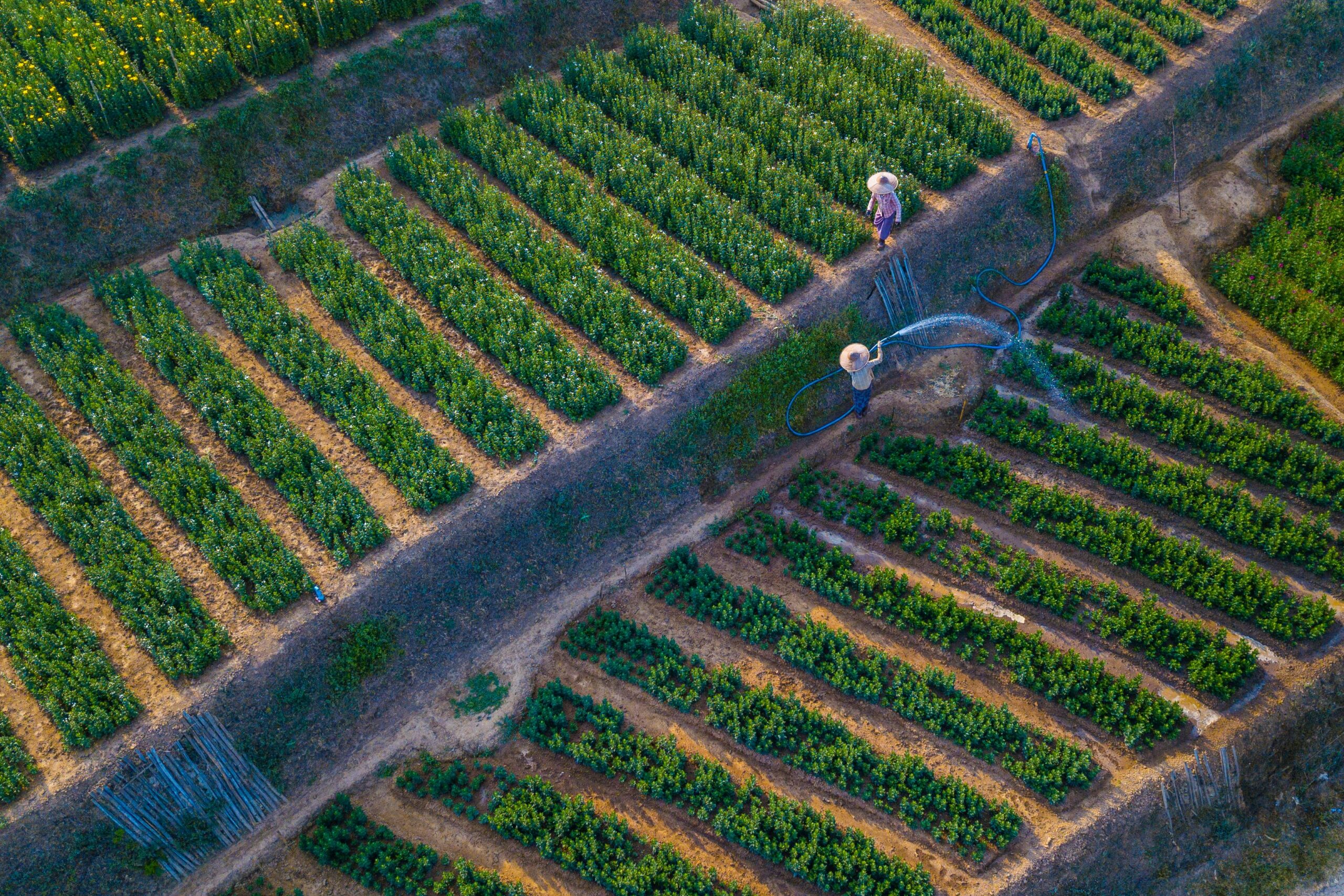 Regenerative agriculture