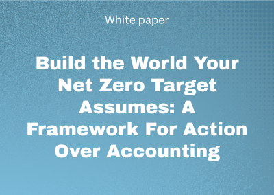 Build the World Your Net Zero Target Assumes: A Framework For Action Over Accounting