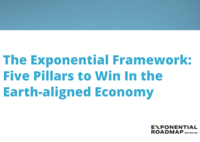 The Exponential Framework: Five Pillars to Win In the Earth-aligned Economy